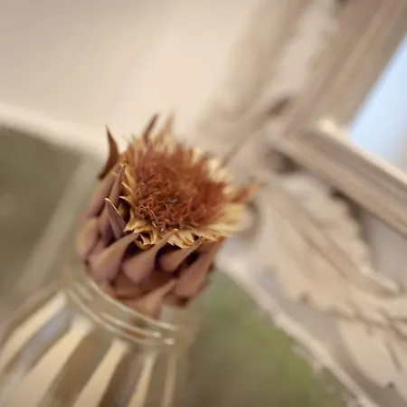 Casa Vecchia Vakantieboerderij *