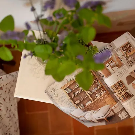 Vakantieboerderij Casa Vecchia *